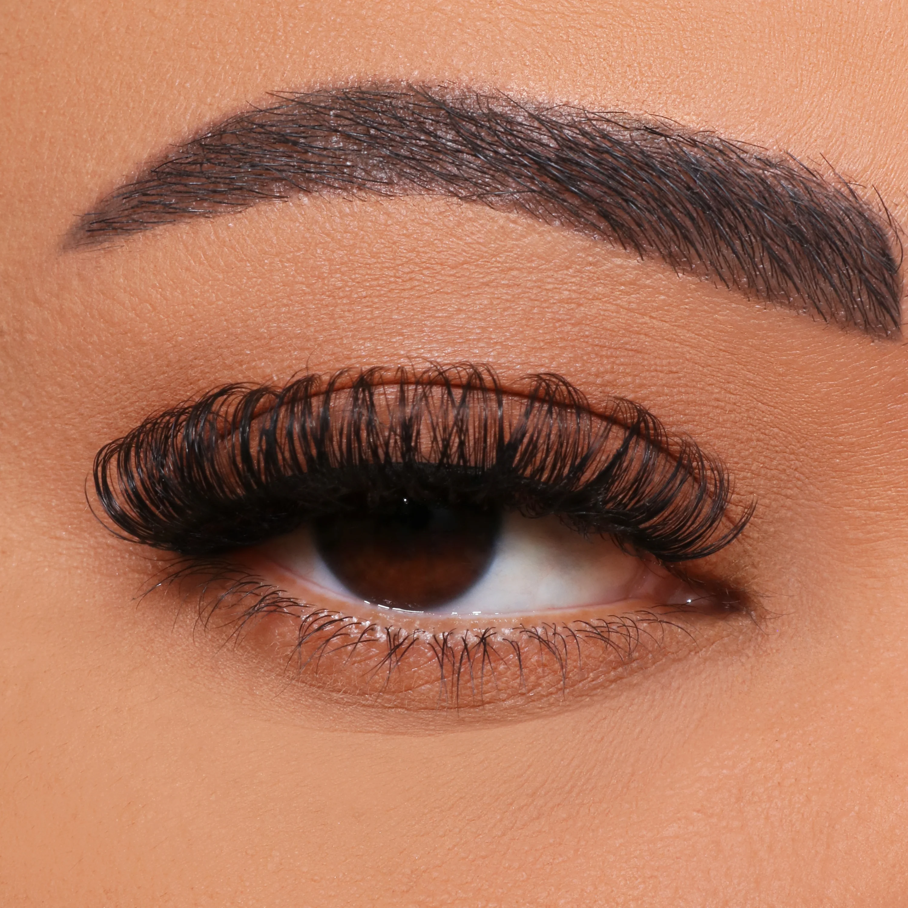 Wéi sollten Dir Multi-Blumm Wimhash Griewer?